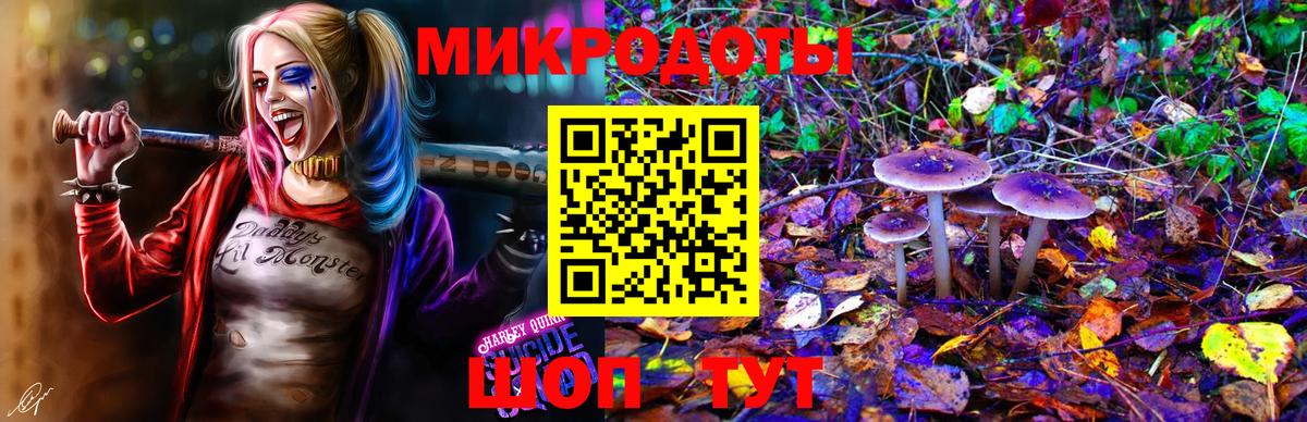 Псилоцибиновые грибы прущие грибы  Вход с VPN  Магадан 